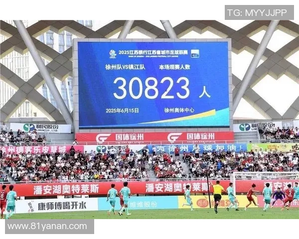 成都足球队的崛起之路城市联赛特别报道深度解析球队的奋斗与荣耀