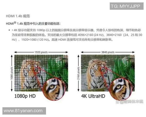 足球明星的职业生涯与服役年龄的关系探讨及其对运动生涯的影响分析